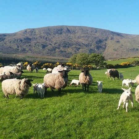 Avondale Villa Sligo Luaran gambar
